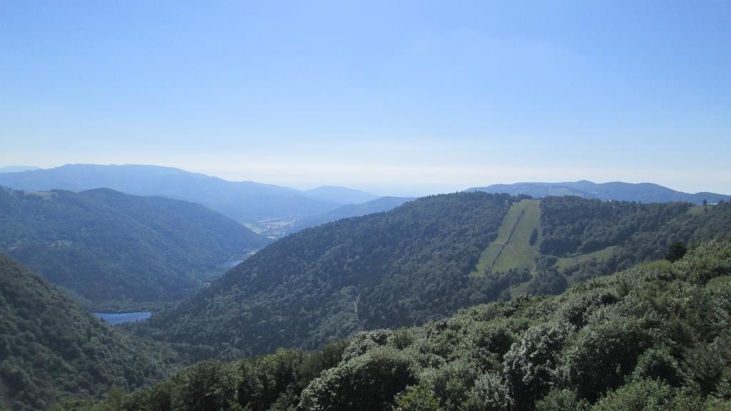 Camping De Masevaux Ngoại thất bức ảnh